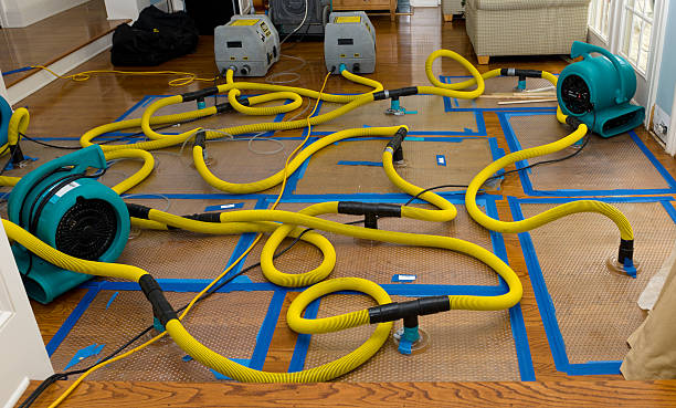 Professional Burst Pipe Water Damage technician working in Plymouth, MN